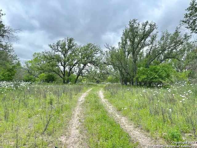 177.9 AC CR 7711 Devine, TX 78016