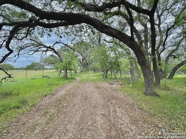 177.9 AC CR 7711 Devine, TX 78016