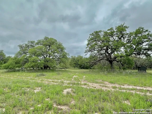 177.9 AC CR 7711 Devine, TX 78016