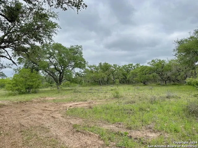 177.9 AC CR 7711 Devine, TX 78016