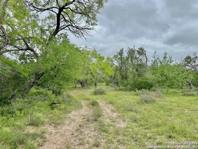 177.9 AC CR 7711 Devine, TX 78016