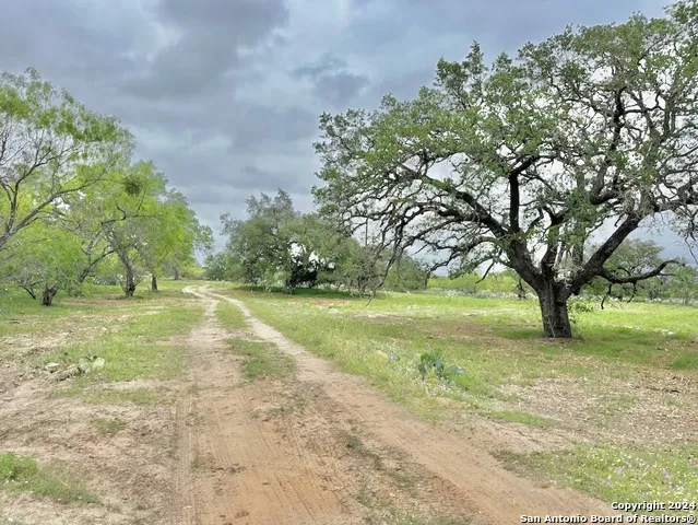 177.9 AC CR 7711 Devine, TX 78016