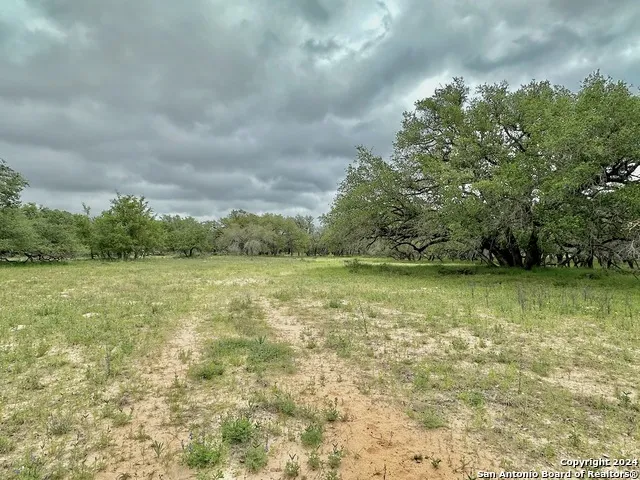 177.9 AC CR 7711 Devine, TX 78016