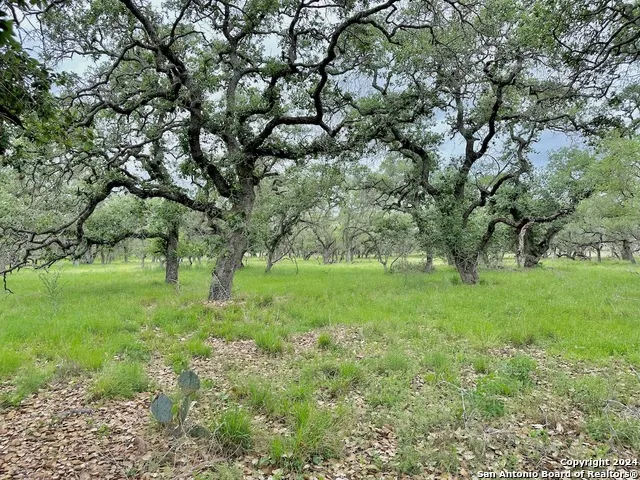 177.9 AC CR 7711 Devine, TX 78016
