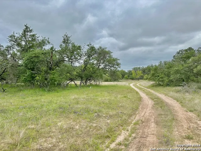 177.9 AC CR 7711 Devine, TX 78016