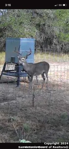 177.9 AC CR 7711 Devine, TX 78016
