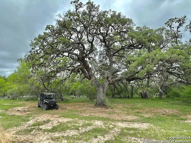 177.9 AC CR 7711 Devine, TX 78016