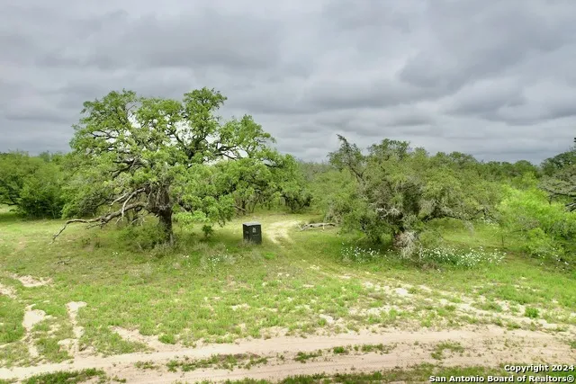 177.9 AC CR 7711 Devine, TX 78016
