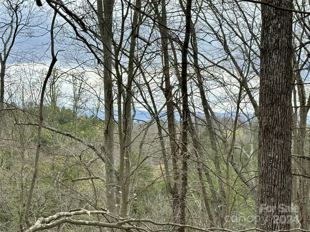 000 Fletcher Martin Road #2 & 3 Alexander, NC 28701