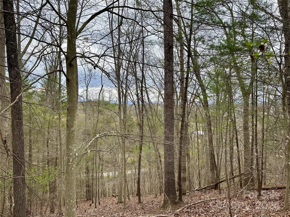 000 Fletcher Martin Road #2 & 3 Alexander, NC 28701
