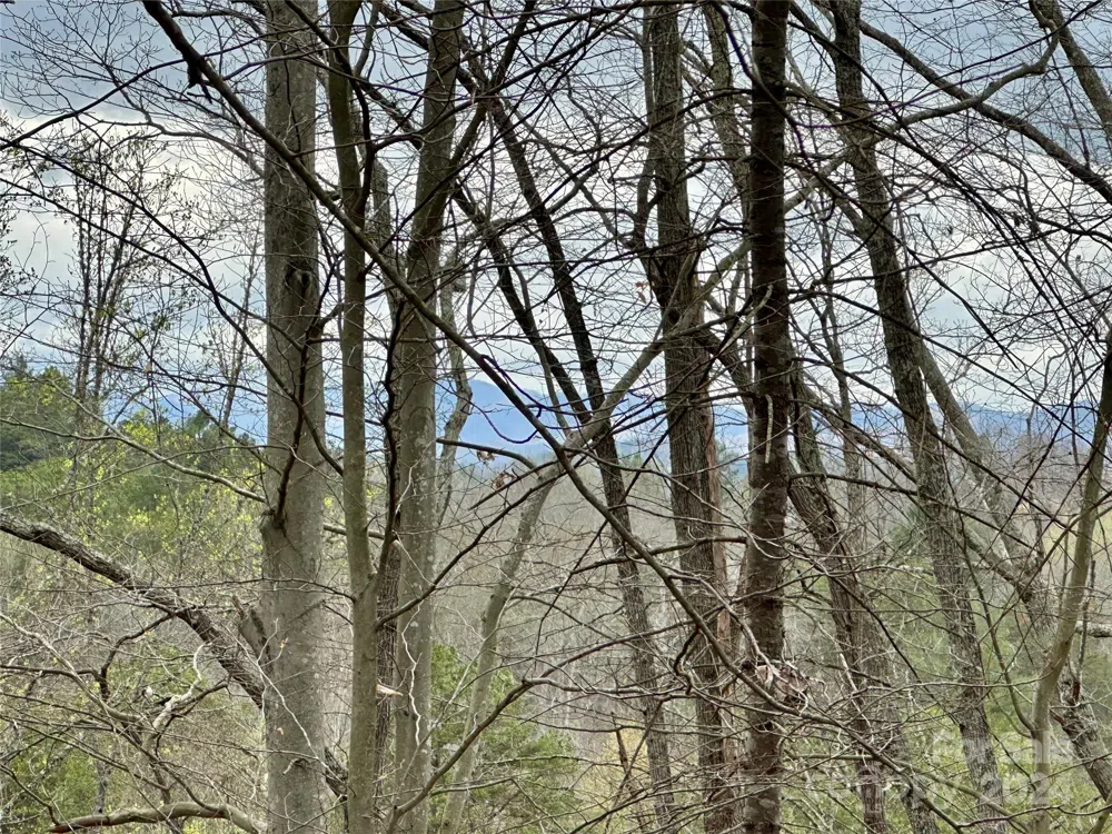 000 Fletcher Martin Road #2 & 3 Alexander, NC 28701
