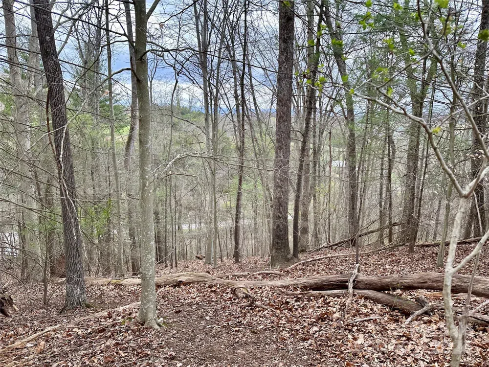 000 Fletcher Martin Road #2 & 3 Alexander, NC 28701