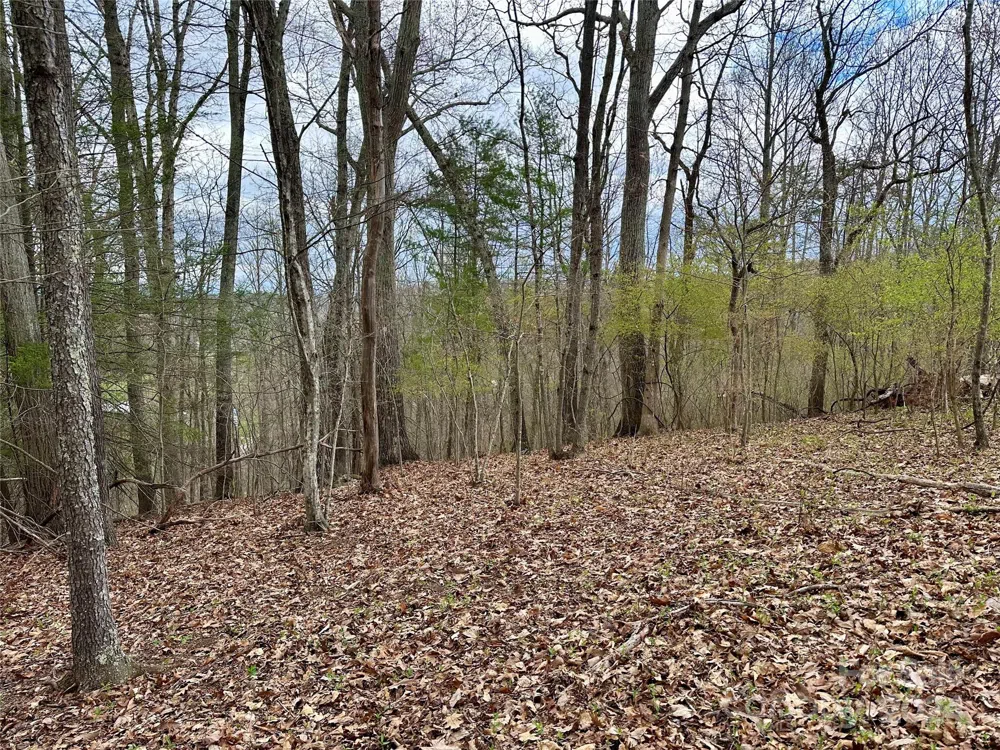 000 Fletcher Martin Road #2 & 3 Alexander, NC 28701