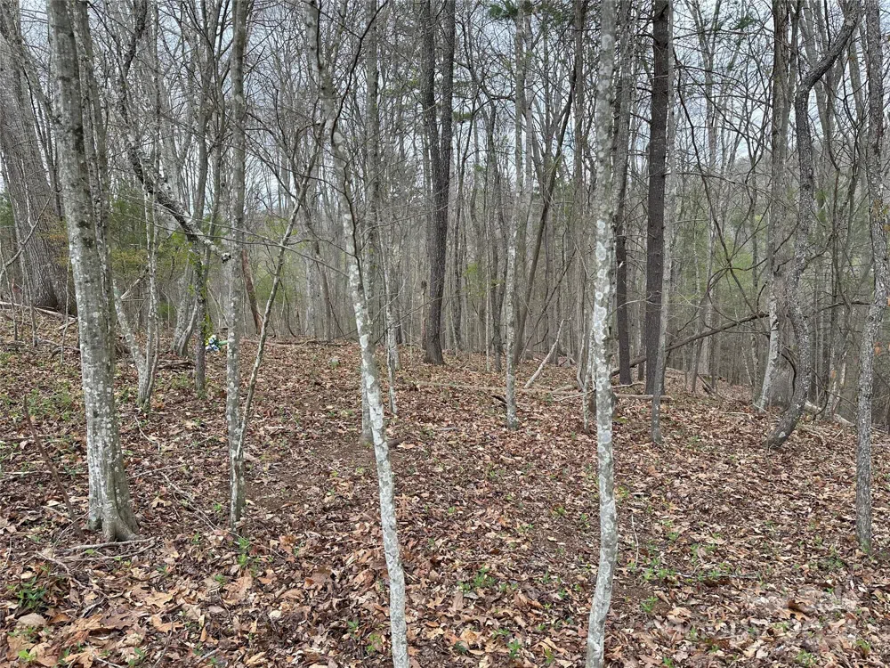 000 Fletcher Martin Road #2 & 3 Alexander, NC 28701