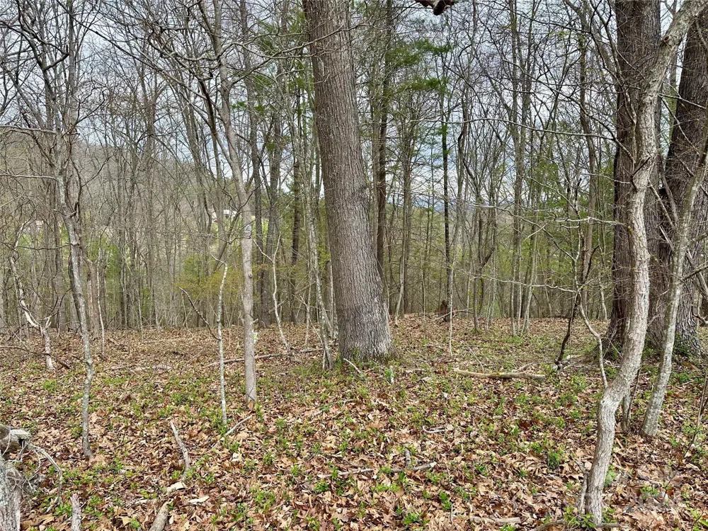 000 Fletcher Martin Road #2 & 3 Alexander, NC 28701