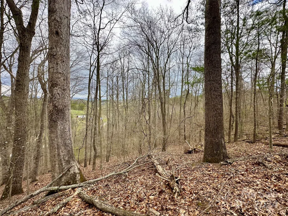 000 Fletcher Martin Road #2 & 3 Alexander, NC 28701