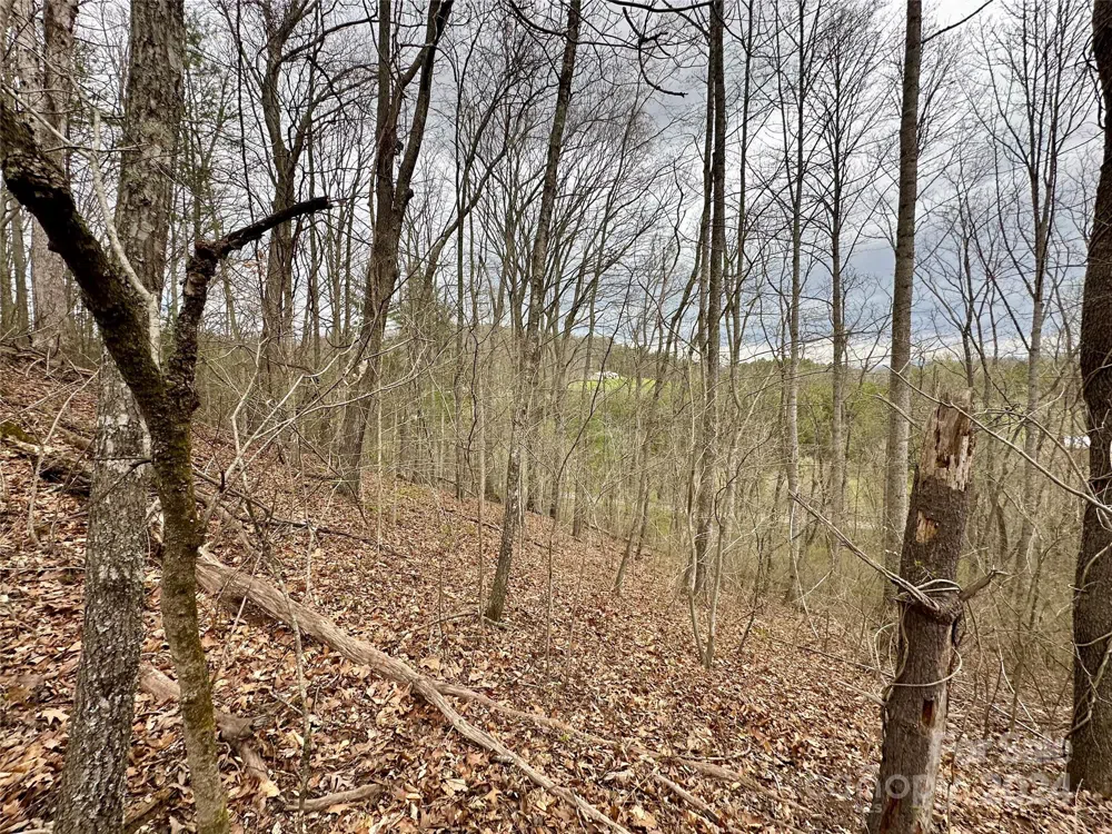 000 Fletcher Martin Road #2 & 3 Alexander, NC 28701