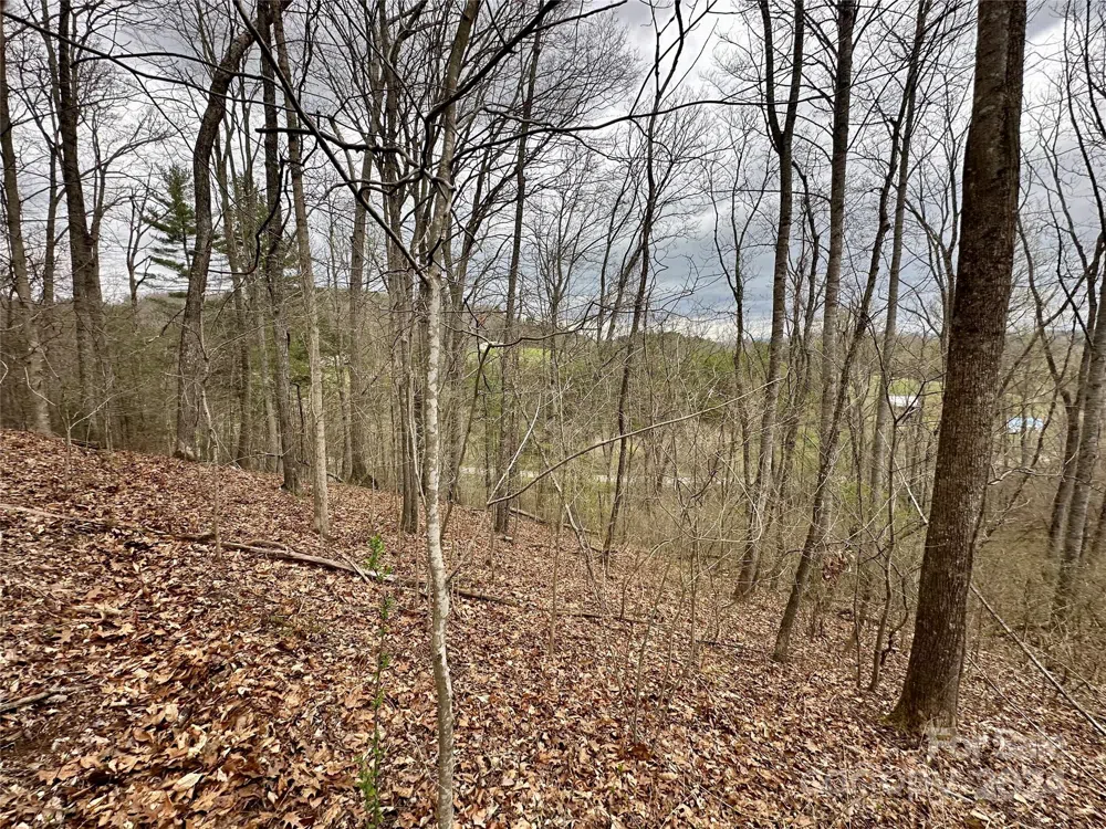 000 Fletcher Martin Road #2 & 3 Alexander, NC 28701
