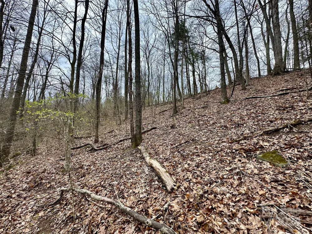 000 Fletcher Martin Road #2 & 3 Alexander, NC 28701