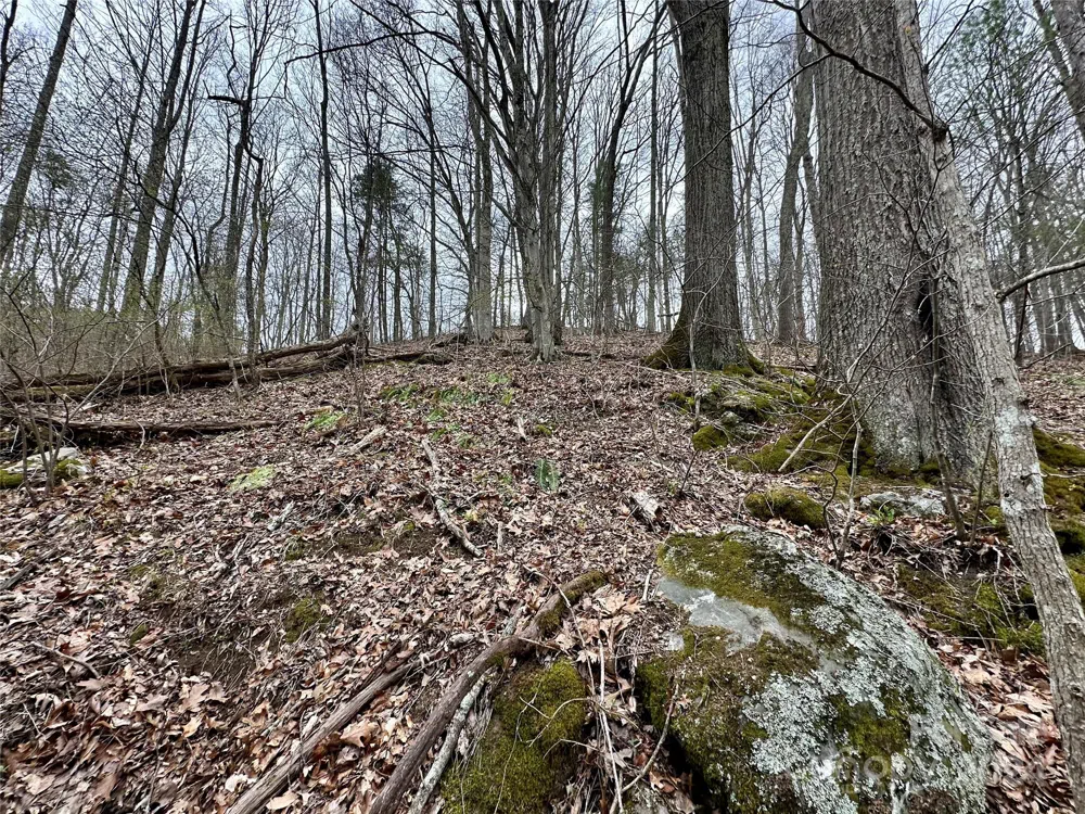 000 Fletcher Martin Road #2 & 3 Alexander, NC 28701