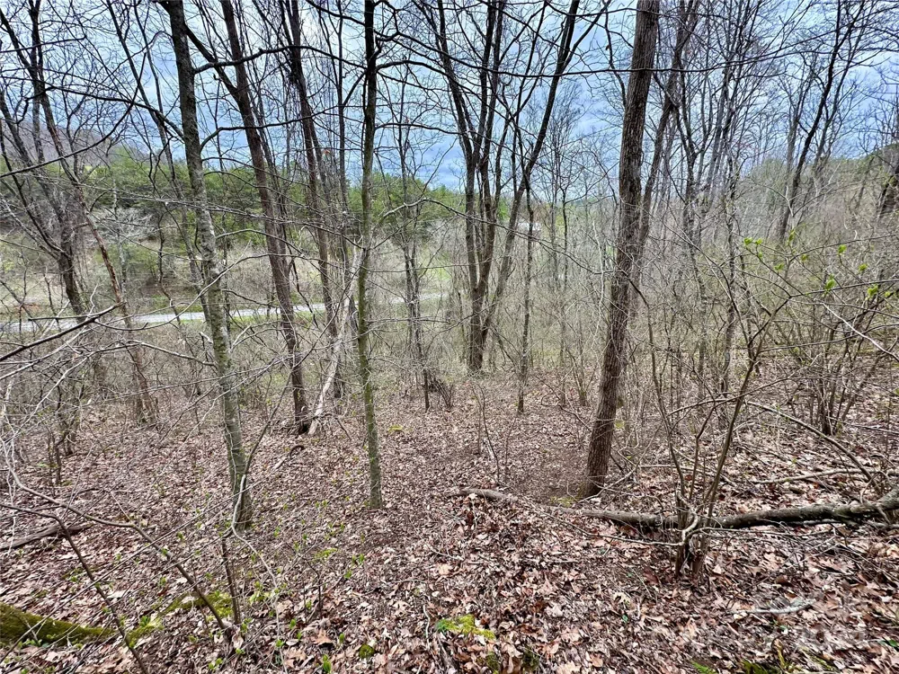 000 Fletcher Martin Road #2 & 3 Alexander, NC 28701