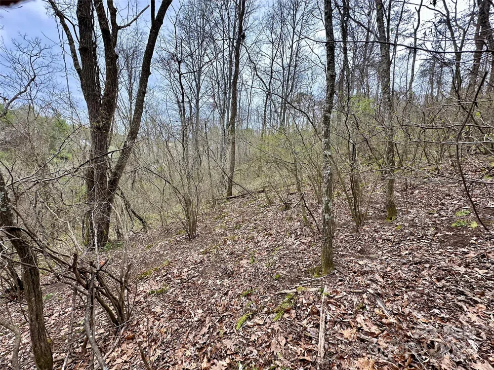 000 Fletcher Martin Road #2 & 3 Alexander, NC 28701