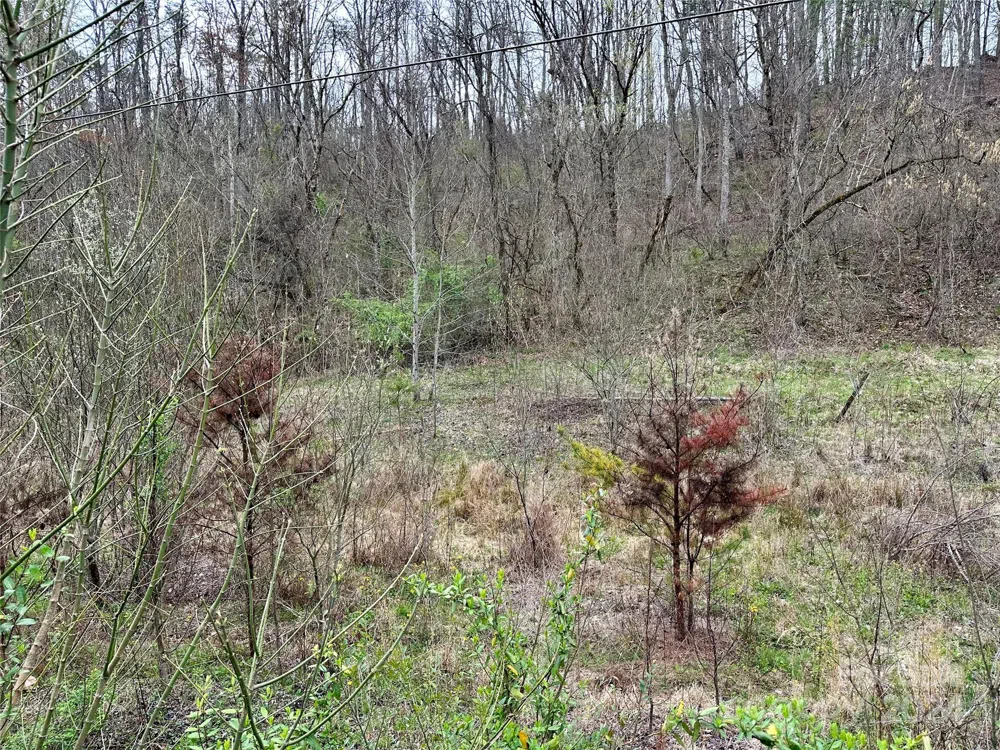 000 Fletcher Martin Road #2 & 3 Alexander, NC 28701