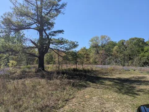 4781 Deans Bridge Road