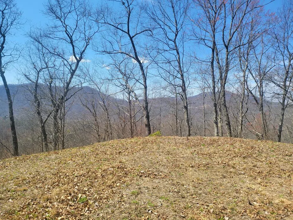 Dry Creek Robbinsville, NC 28771