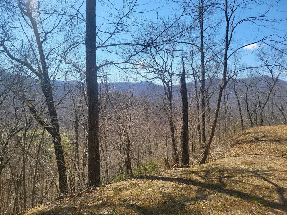 Dry Creek Robbinsville, NC 28771