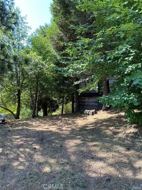 Pine Drive