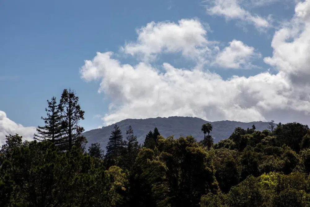 19351 Redberry Drive Los Gatos, CA 95030