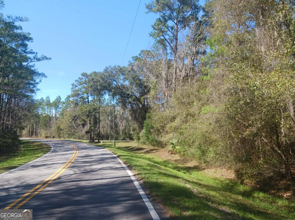 0 Dover Bluff Rd & GA Episcopal Center Rd CTR Waverly, GA 31565