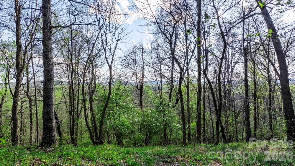 00 Somers Road North Wilkesboro, NC 28689