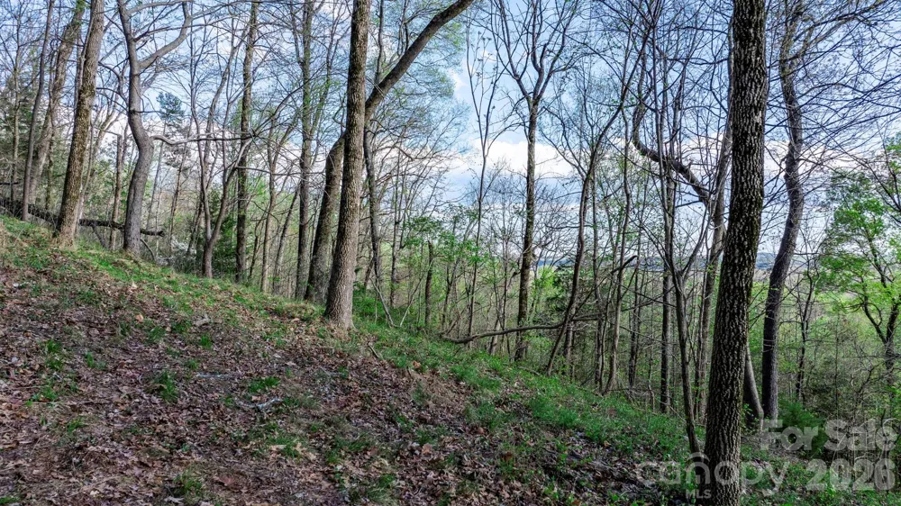 00 Somers Road North Wilkesboro, NC 28689