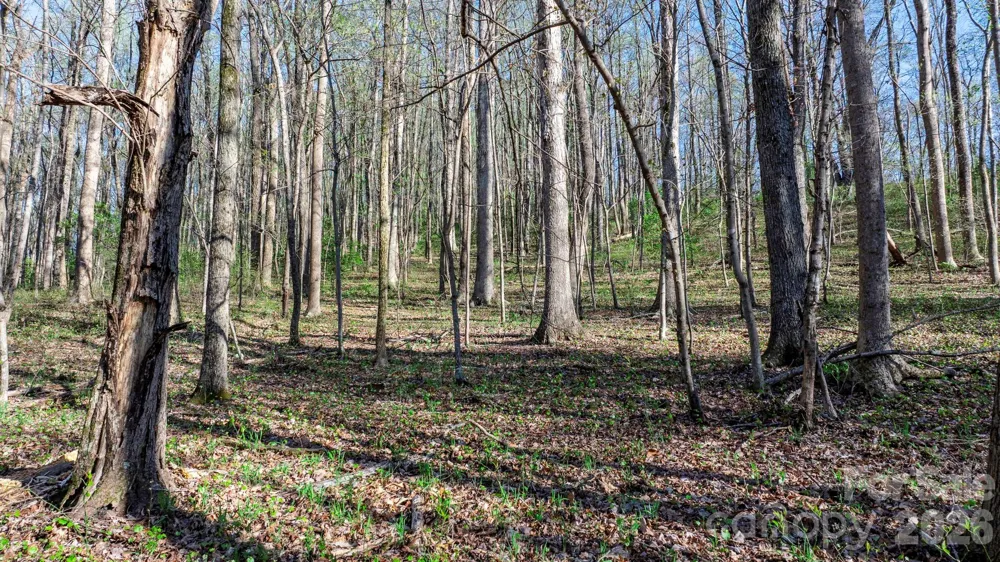 00 Somers Road North Wilkesboro, NC 28689