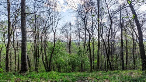 00 Somers Road