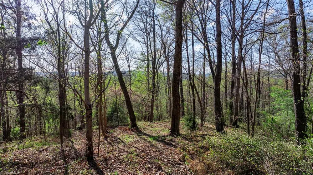 00 Somers Road North Wilkesboro, NC 28689