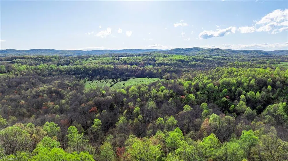 00 Somers Road North Wilkesboro, NC 28689