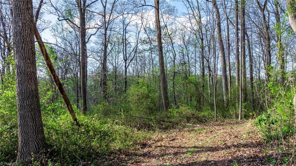 00 Somers Road North Wilkesboro, NC 28689