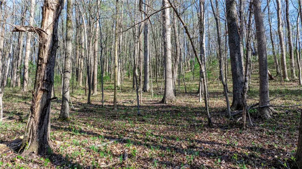 00 Somers Road North Wilkesboro, NC 28689