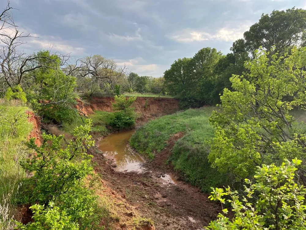 Hoffman Road Loving, TX 76460
