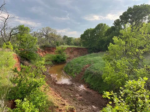 Hoffman Road