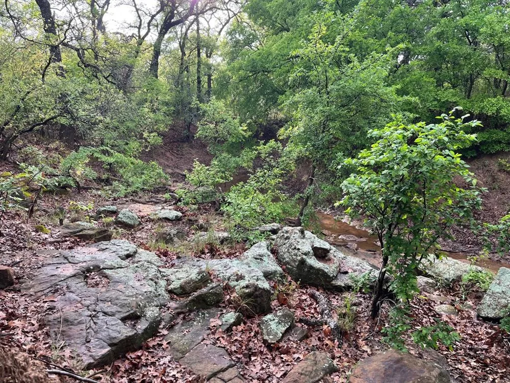 Hoffman Road Loving, TX 76460
