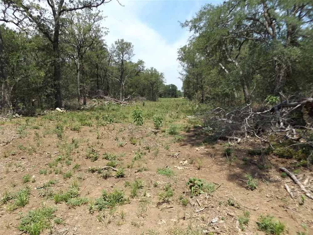Hoffman Road Loving, TX 76460