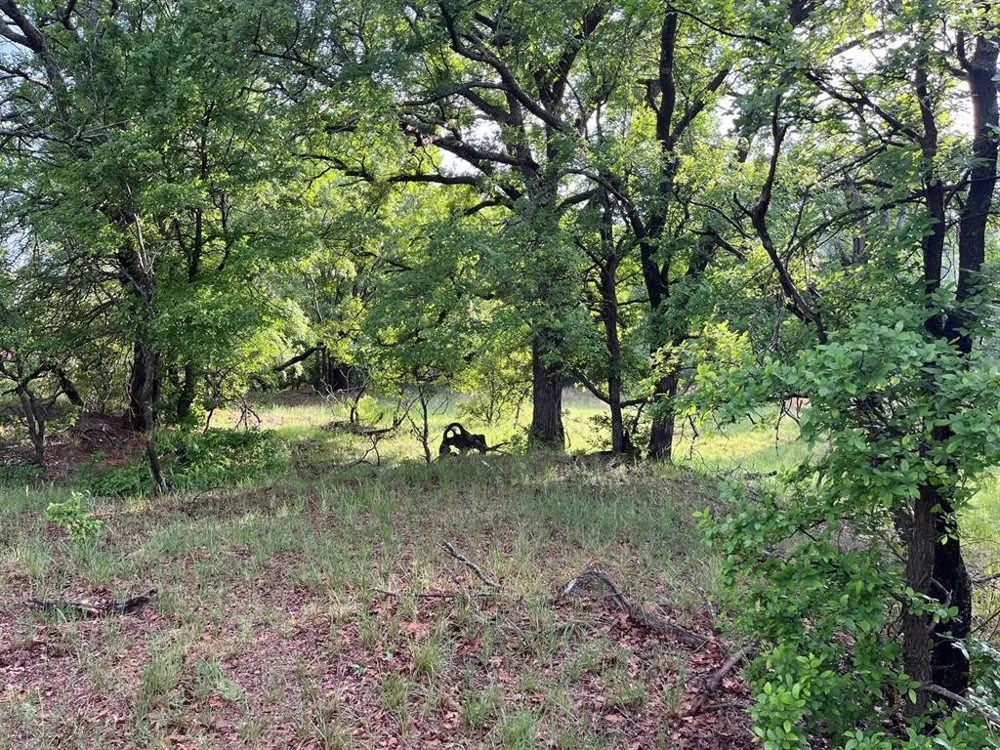 Hoffman Road Loving, TX 76460