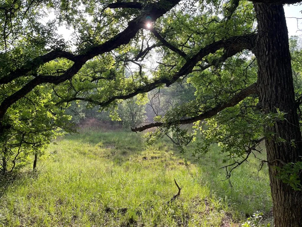 Hoffman Road Loving, TX 76460