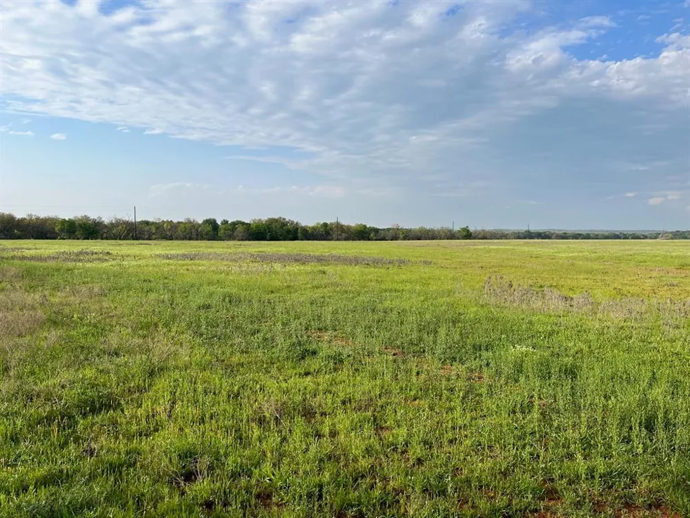 Hoffman Road Loving, TX 76460