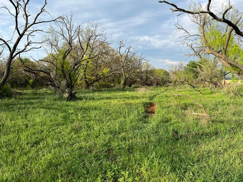 Hoffman Road Loving, TX 76460
