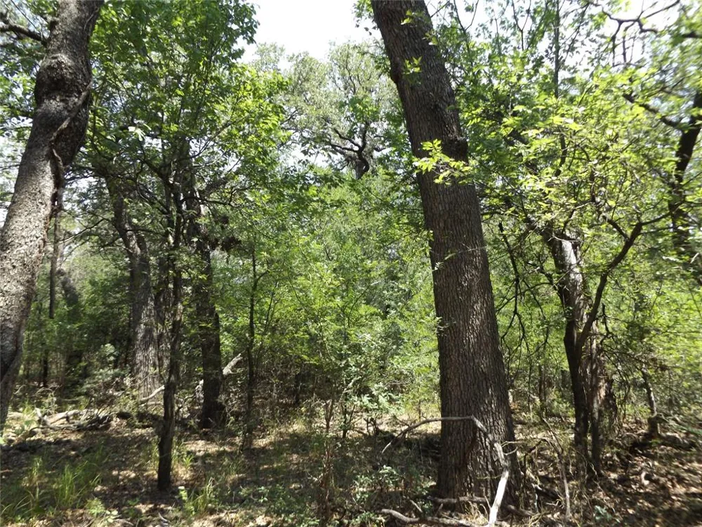 Hoffman Road Loving, TX 76460